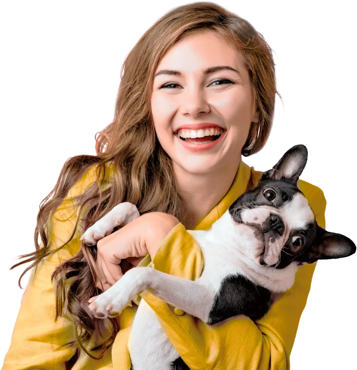 Hospital Veterinário 24 Horas Casa do Criador