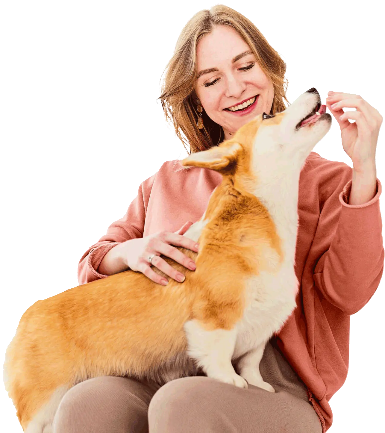 Hospital Veterinário 24 Horas Casa do Criador